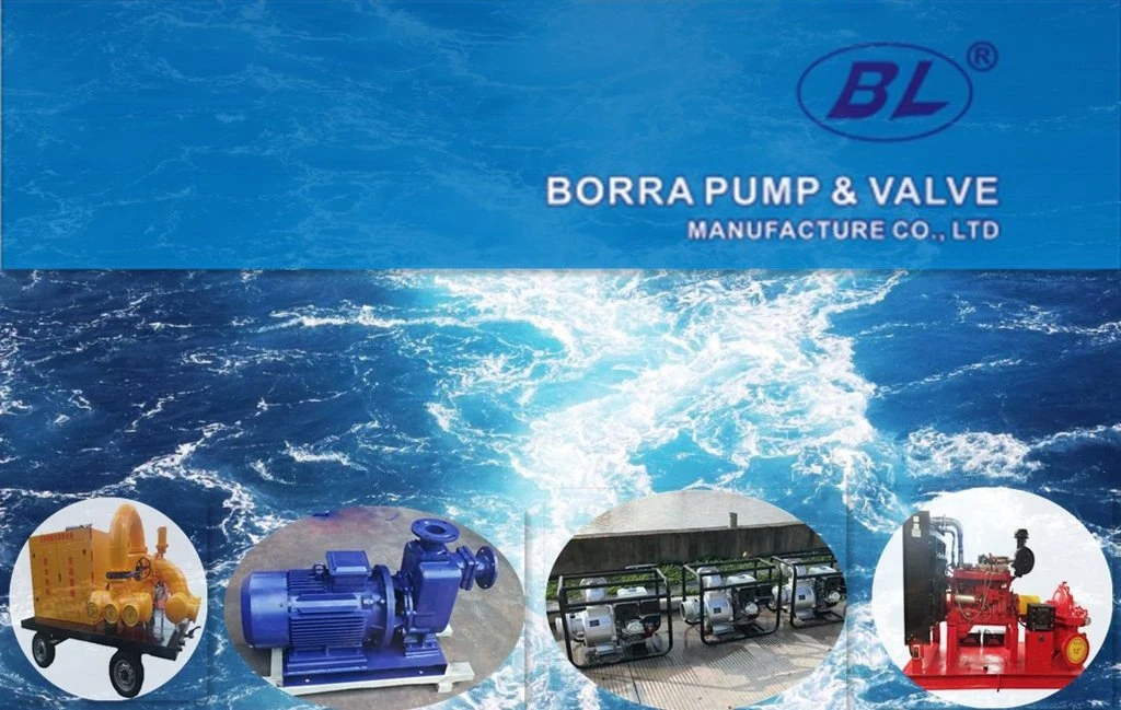 Waste Water Treatment Centrifugal Chemical Pump Self-Priming Sewage Pump for Chemical Industry Strong Acids Corrode Liquids