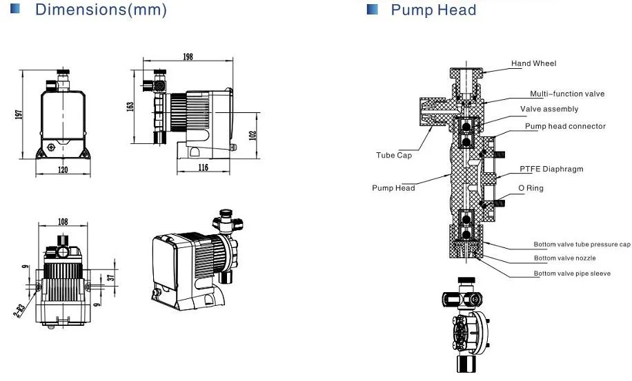 Jcmb Series 15 Bar Chemical Feed Pumps Injection Valve