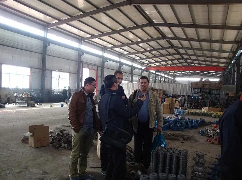 Za/Zaohigh Pressure Anti-Corrosion Petrochemical Pump API610 Standard Centrifugal Chemical Process Pump