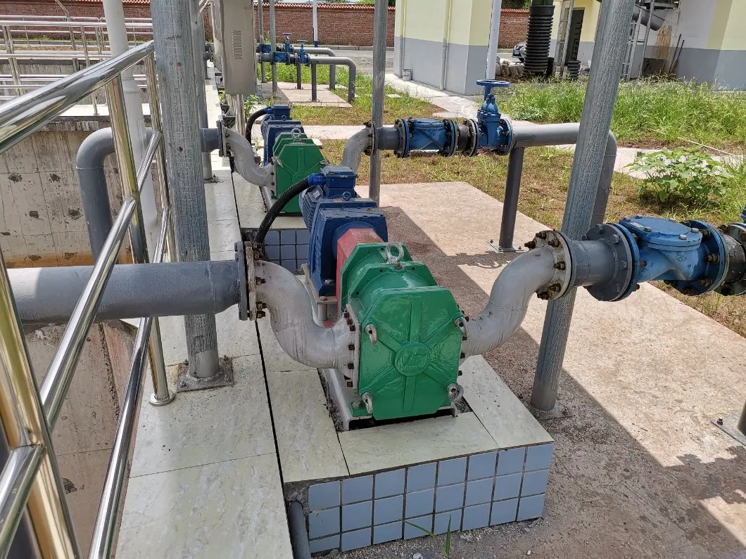 Membranes Treatment Rubber Sludge Wastewater Lobe Pump Permeate Pump