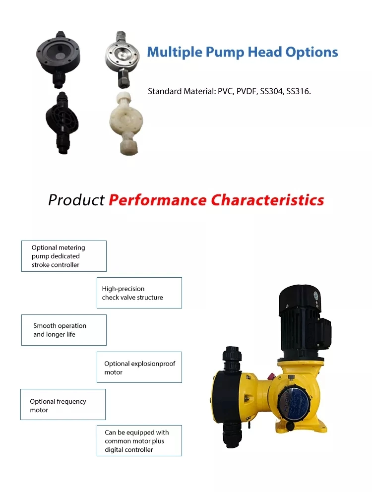 Vertical Pump Diaphragm Metering Pump Chlorine Injection Pump