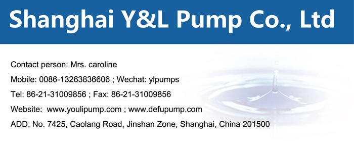 Stainless Steel Sanitary Food Chemical Grade Positive Displacement Rotary Lobe Pumps