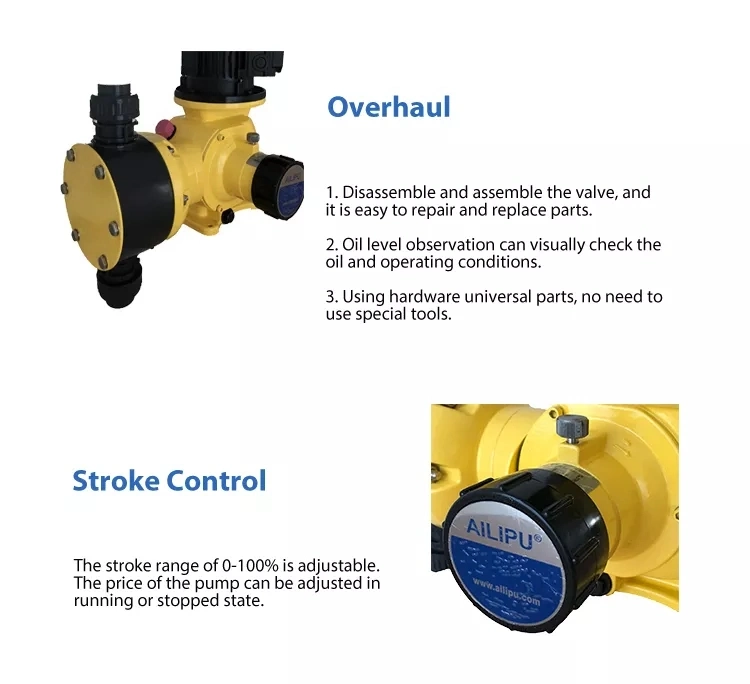 Vertical Pump Diaphragm Metering Pump Chlorine Injection Pump