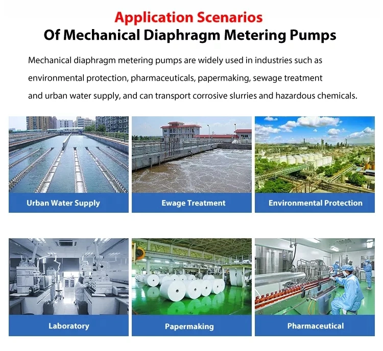 Mechanical Diaphragm Dosing Pump Feed Pump Water Treatment Pump for Sewage Treatment