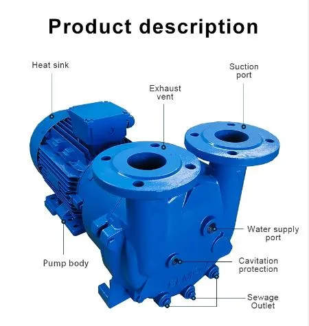 2BV Series Monoblock Single Stage Liquid Ring Vacuum Pump Cast Iron Stainless Steel Circulation Vacuum Pump