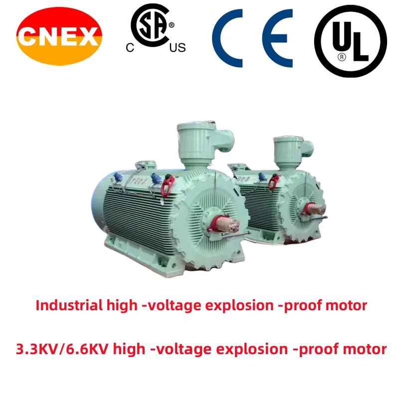 Chemical Pump High -Voltage Explosion -Proof Motor/Paper Factory High -Voltage Motor