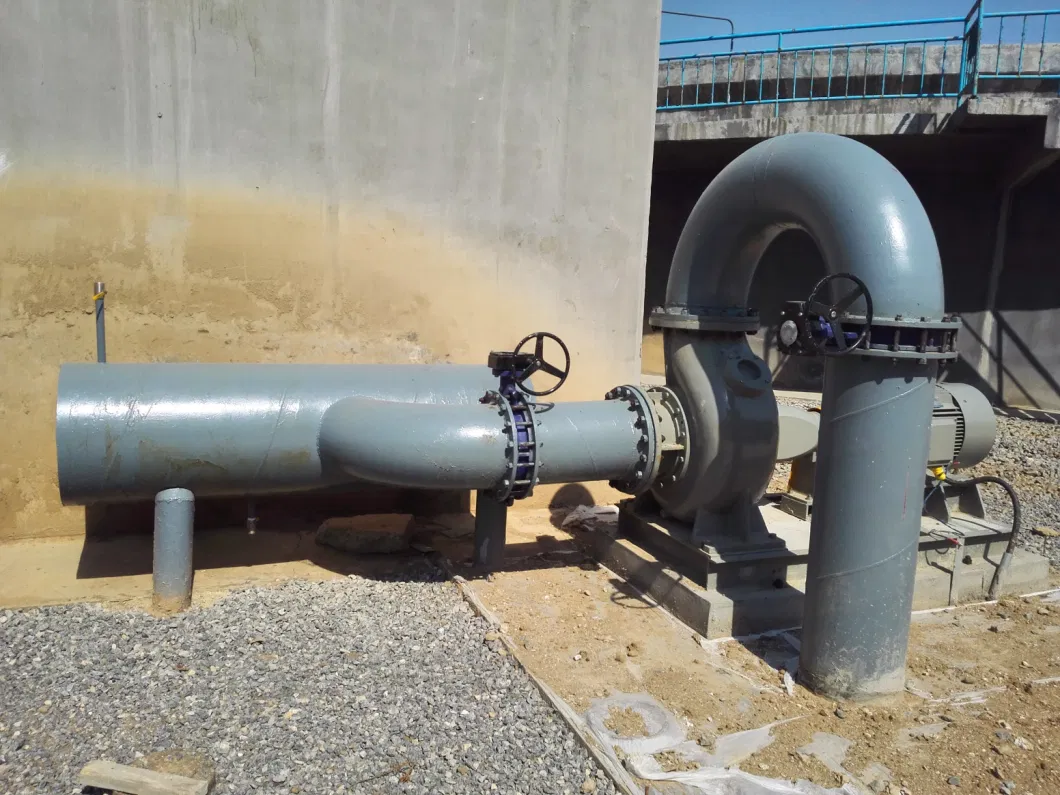 2p22kw Dry Pit Non-Clog Pump on Land Pump Wastewater Treatment Plant Sewage and Sludge Pumping Equipment
