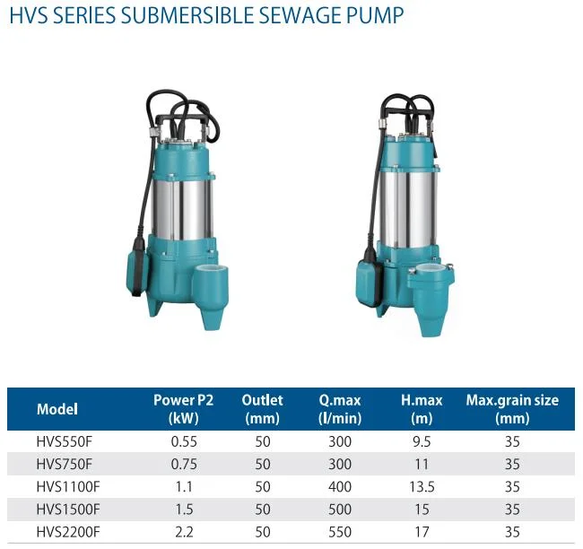 Wassermann Cast Iron Submersible Resin Sewage Water Pump Stainless Steel Vortex Wastewater Pump with Grinder Cutter