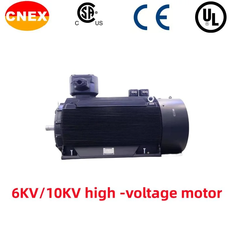 Chemical Pump High -Voltage Explosion -Proof Motor/Paper Factory High -Voltage Motor