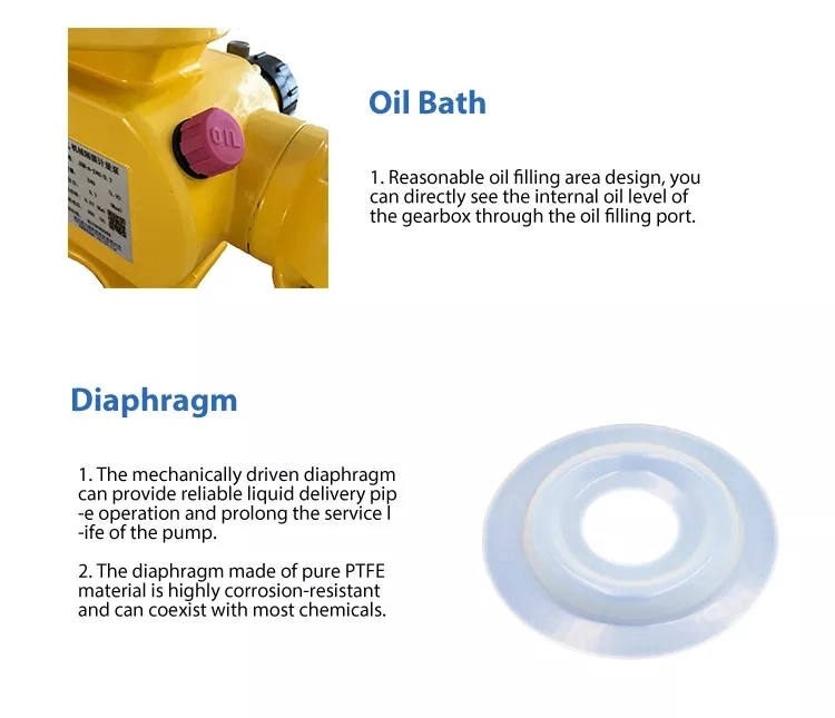 Mechanical Diaphragm Dosing Pump Feed Pump Water Treatment Pump for Sewage Treatment