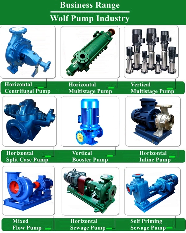 Dg Series Industrial Use Boiler Feed Water Pump