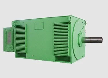 Chemical Pump High -Voltage Explosion -Proof Motor/Paper Factory High -Voltage Motor