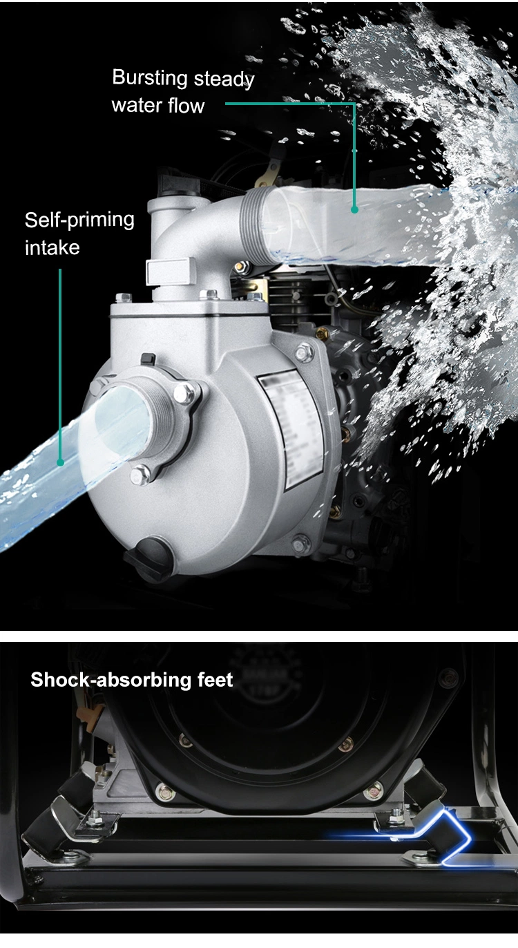 Salt Sea Water Chemical Corrosive Liquids 3 Inch Diesel Engine Pump
