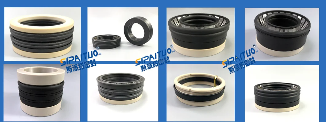 Sipaituo Auto Pump Hydraulic Seal Peek PTFE Spring Energized Seals