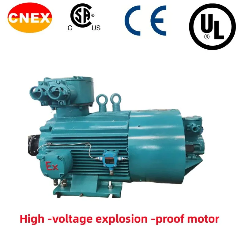 Chemical Pump High -Voltage Explosion -Proof Motor/Paper Factory High -Voltage Motor