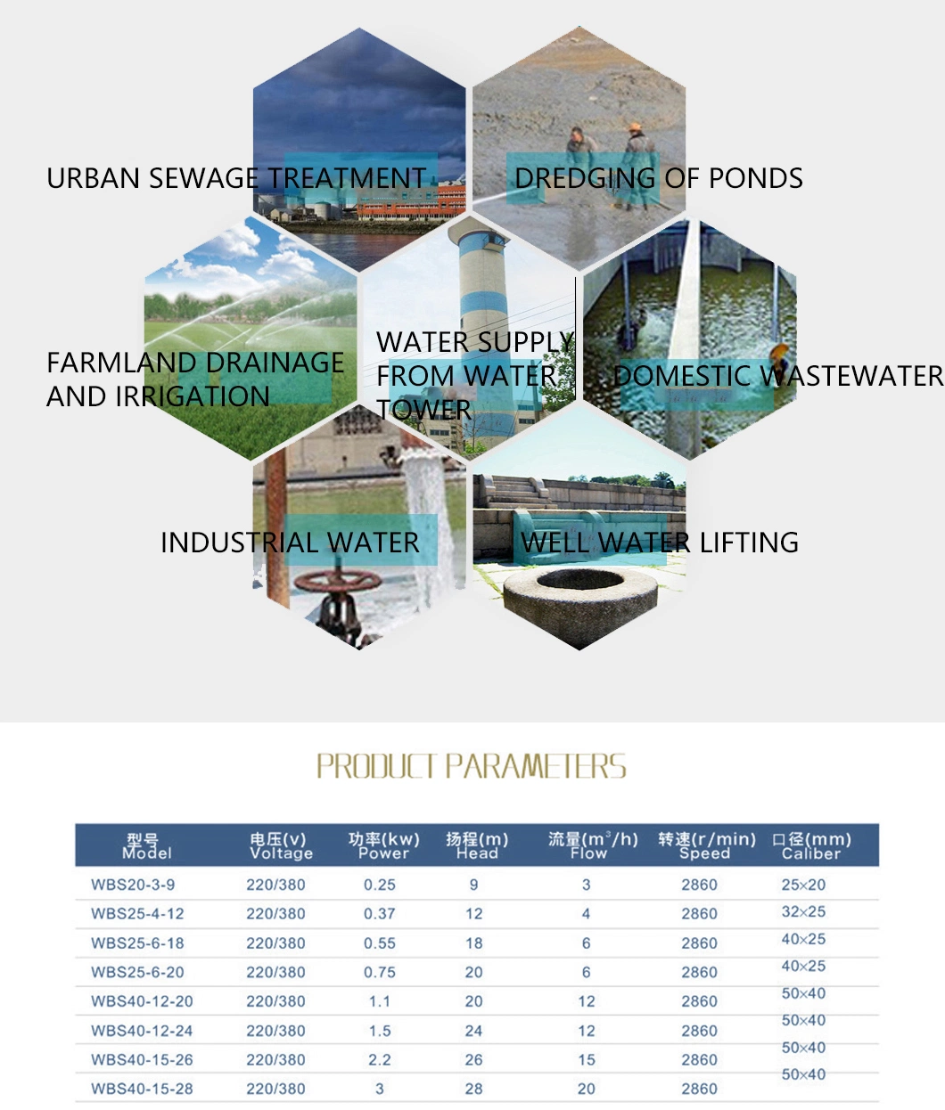 Stainless Steel Sewage Chemical Pump Centrifugal High Lift Corrosion-Resistant 1.1kw 220V380V