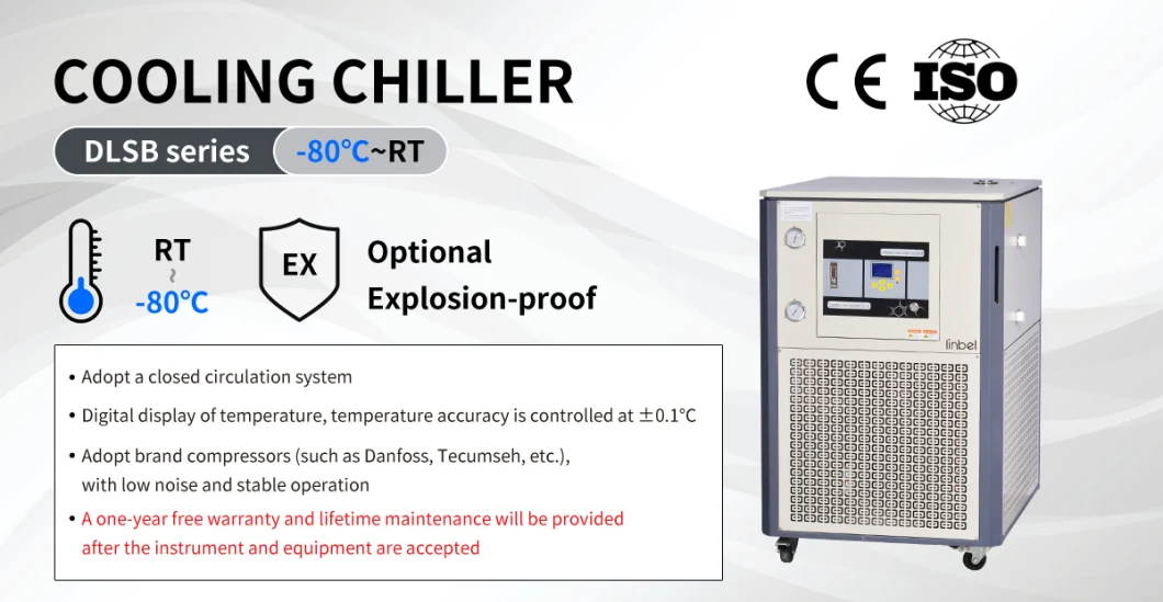 Lab Laboratory Dlsb-200/80 Cooling Water Liquid Circulating Chiller Refrigeration Pump