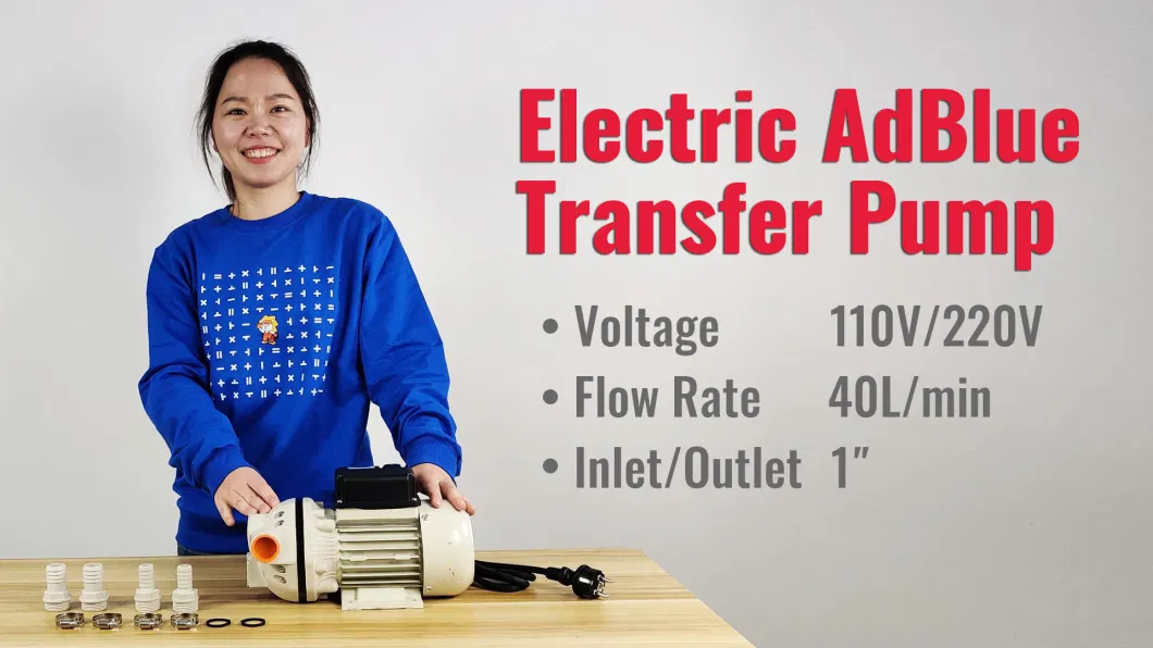 AC 220V Chemical Acid Water Transfer Dispensing Adblue Pump for IBC Tank