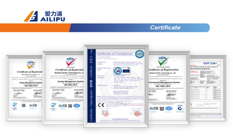 ISO 14001 Approval Chlorine Injection Pump with Packing List