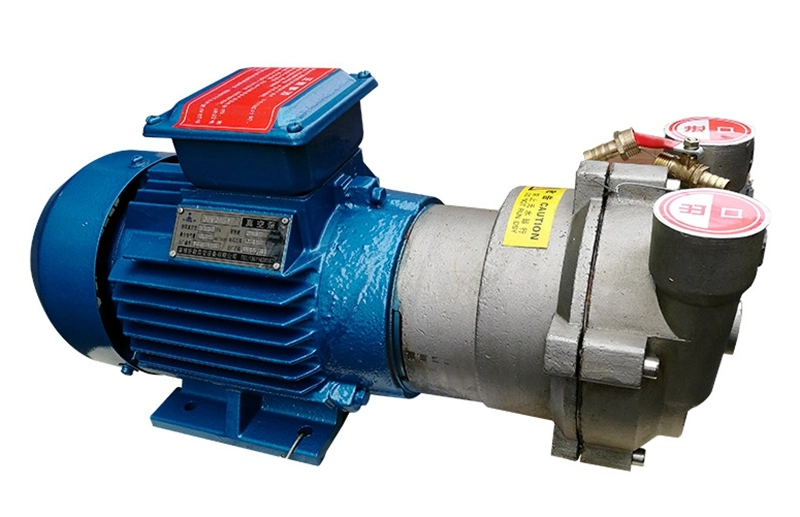 2BV Series Explosion Proof Stainless Steel Chemical Vacuum Pump