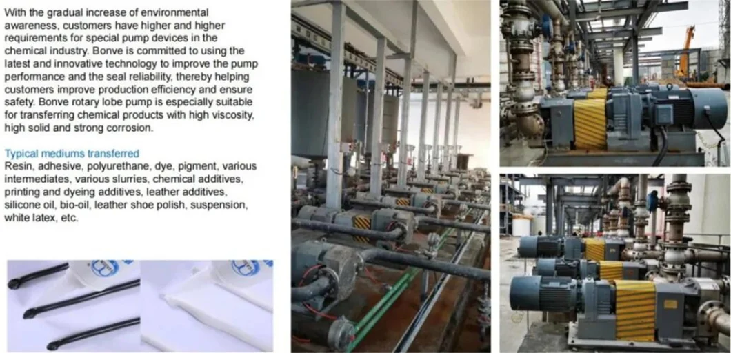 Rotary Pump Rotor Pump with Stepless Speed Variator Rotary Pump Stainless Steel Sanitary Rotary Rotor Lobe Pump, Self Priming CIP Liquid Ring Suction Pump,