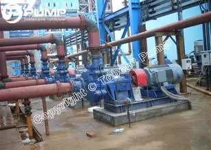 Tobee Jacking Slurry Pump Corrosive Acid Centrifugal Slurry Pump