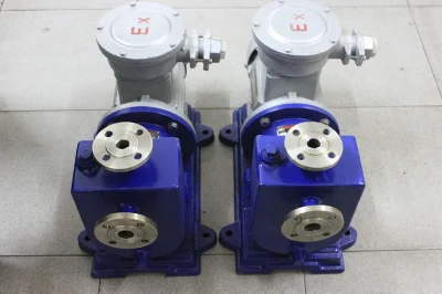 Edelstahl Magnetpumpe Cq Serie Elektrische Säure Alkali-Flüssigkeit Ascension Transport Resistant Wasserdruck Magnetpumpe