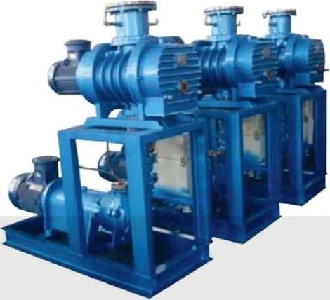 Roots Water Ring Vacuum Unit Pump for Chemical Food Pharmaceutical Industry