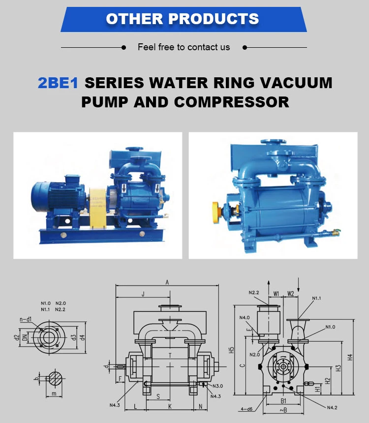 Factory Wholesale 2BV Bronze Impeller Liquid Ring Vacuum Pump Explosion Proof Water Ring Chemical Vacuum Pump