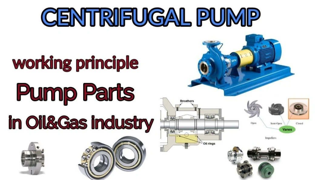 Corrosion Resistant Chemical Centrifugal Acid Pump