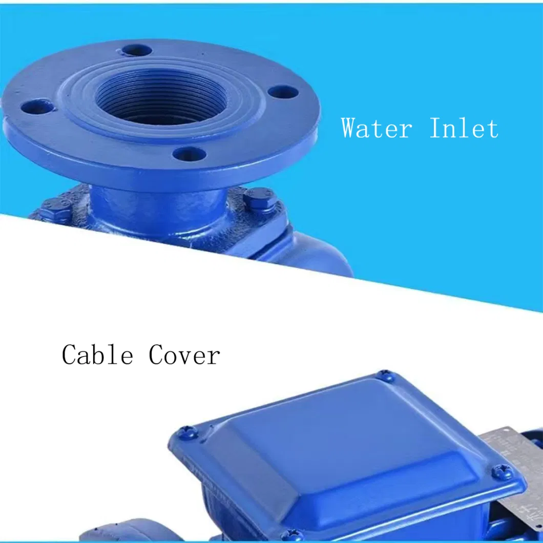 Hot Sale Chemical Plastic Self-Priming Pump Acid Transfer Electrical Pumps