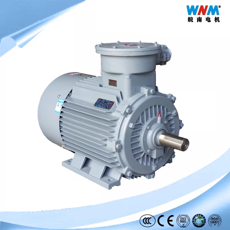 Explosion Proof AC Induction Electric Motor for Chemical Industry or Oil &amp; Gas Pumps Fans Compressors Extrudes Separators and Agitators for Hazardous Area