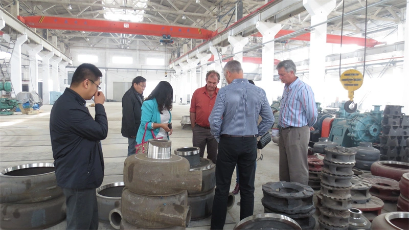 Corrosion Resistant Cantilevered Centrifugal Slurry Pump Low Flow Slurry Pump Chinese Slurry Pump Manufacturer