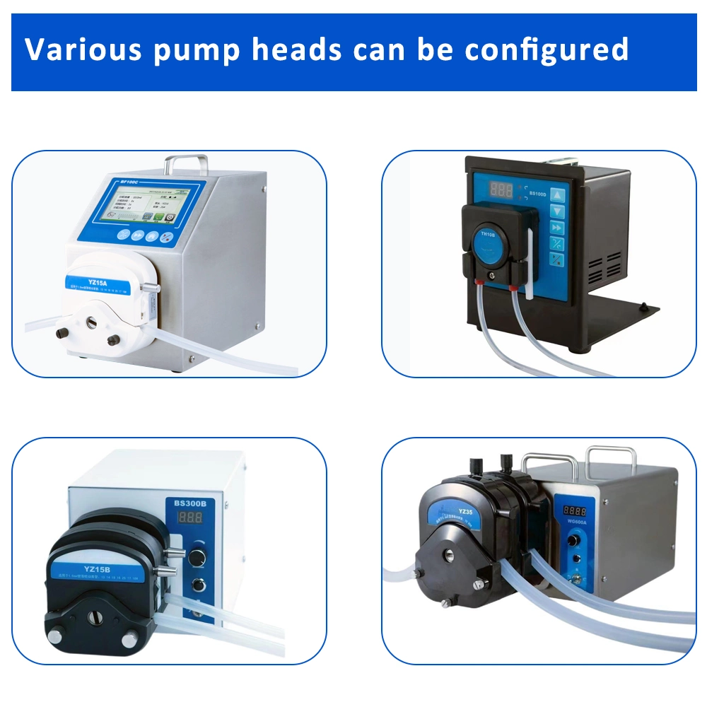 China Supplier Small Solenoid Diaphragm Acid Liquid Chemical Chlorine Peristaltic Metering Dosing Pump