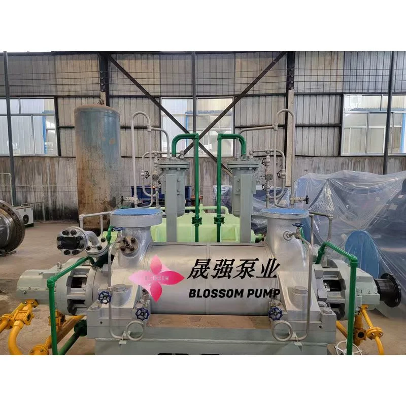 Horizontal Multistage Stainless Steel Pump for Sewage Treatment Transportation Coal Mining Power Plant Fire Protection Irrigation