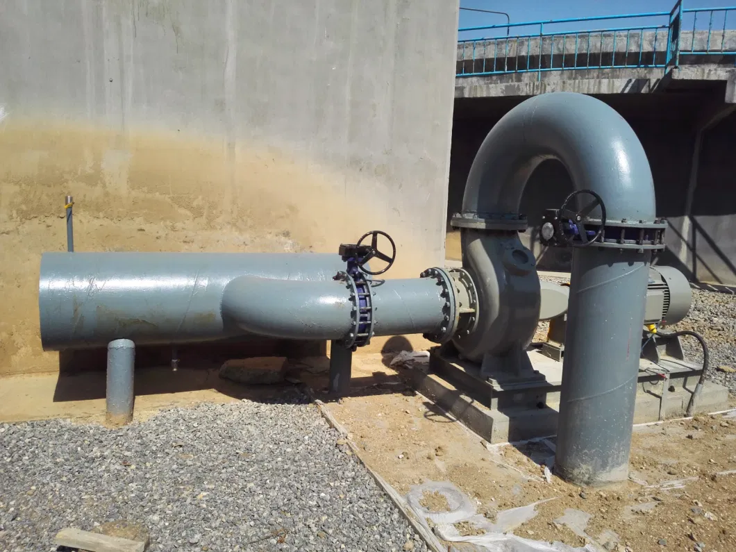 2p75kw Dry Pit Non-Clog Pump on Land Pump Wastewater Treatment Plant Sewage and Sludge Pumping Equipment