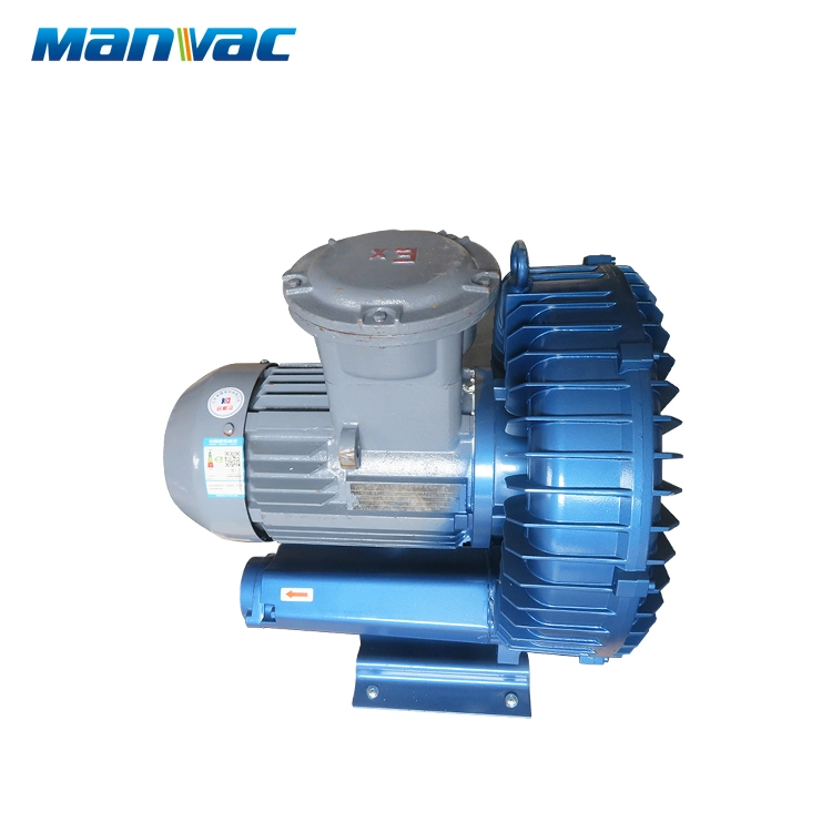 Explosion-Proof Electric Machine Atex Motor Ring Blower High Pressure Pump for Chemical Industry