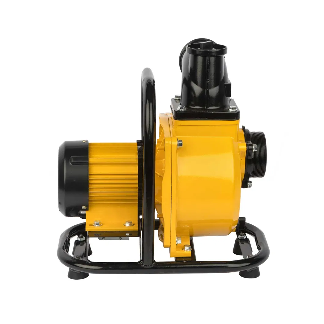 3 Inch 1.5kw Centrifugal Pump High Head Pump Solar Self-Priming Pump for Wastewater Treatment