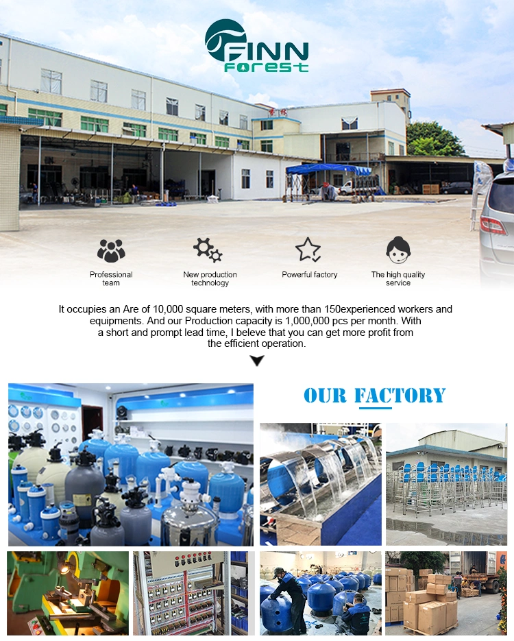 Swimming Pool Water Treatment Automatic Chemical Chlorine Dosing Pump