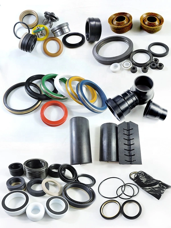 Skived PTFE Vacuum Pump Spring Energized Seal Oilfield Service