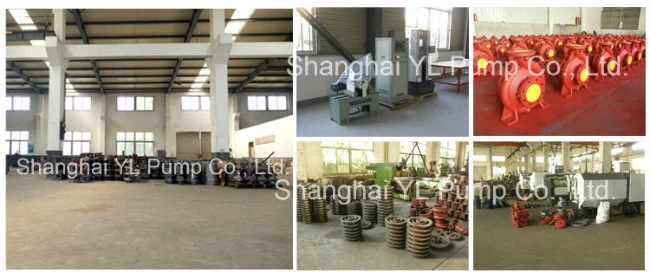 Stainless Steel Self Priming Centrifugal Slurry/Sewage Pump