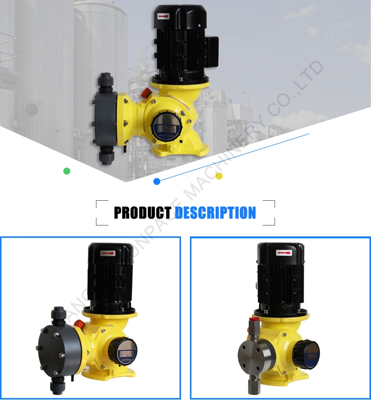 Water Treatment Corrosion Inhibitor Mechanical Diaphragm Feed Pump
