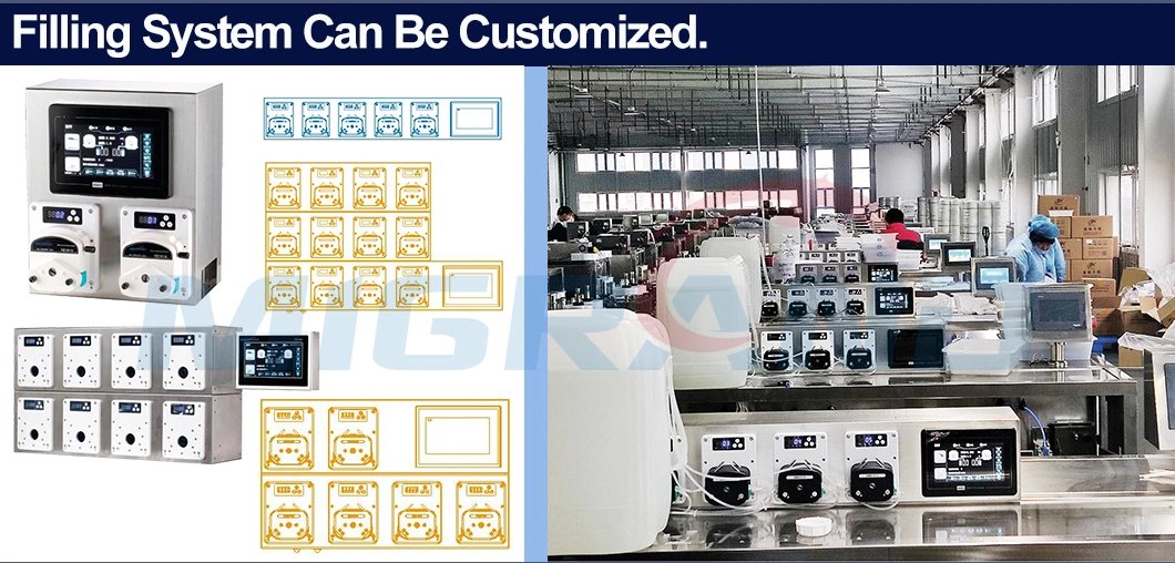 Single Head Laboratory Peristaltic Urea Dosing Pump Sodium Hydroxide Chlorobromomethane Ethylene Glycol Transfer