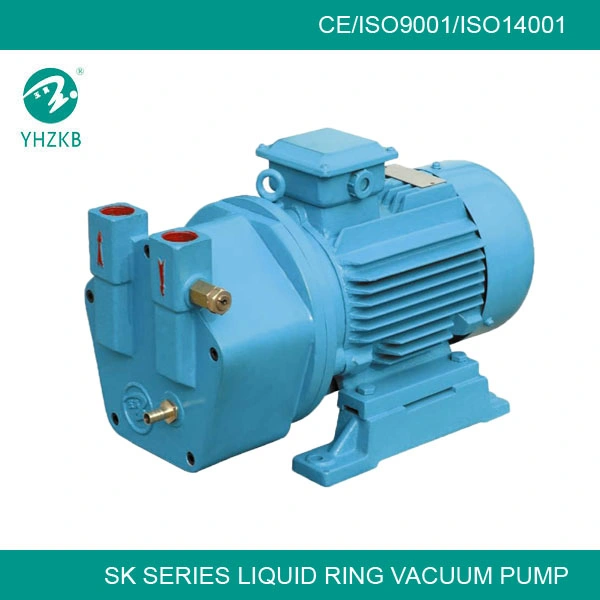 Lab Chemical Liquid Ring Circulation Water Vacuum Pump on Sale