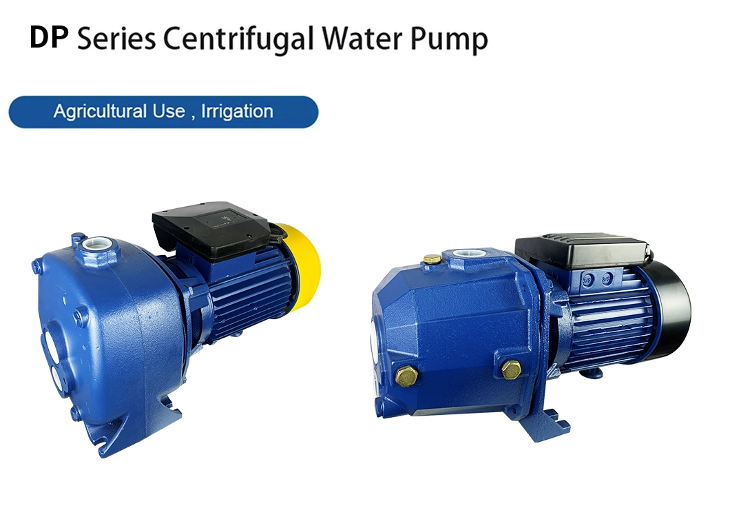 Centrifugal Pump Sewage Wastewater Pump