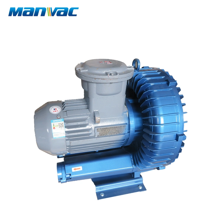 Explosion-Proof Electric Machine Atex Motor Ring Blower High Pressure Pump for Chemical Industry