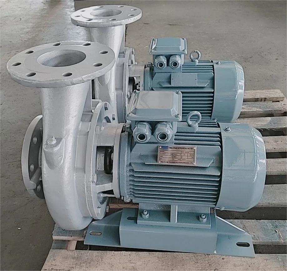 4kw Horizontal Centrifugal Sewage Pump Horizontal Wastewater Pump Stainless Steel Sewage Pump