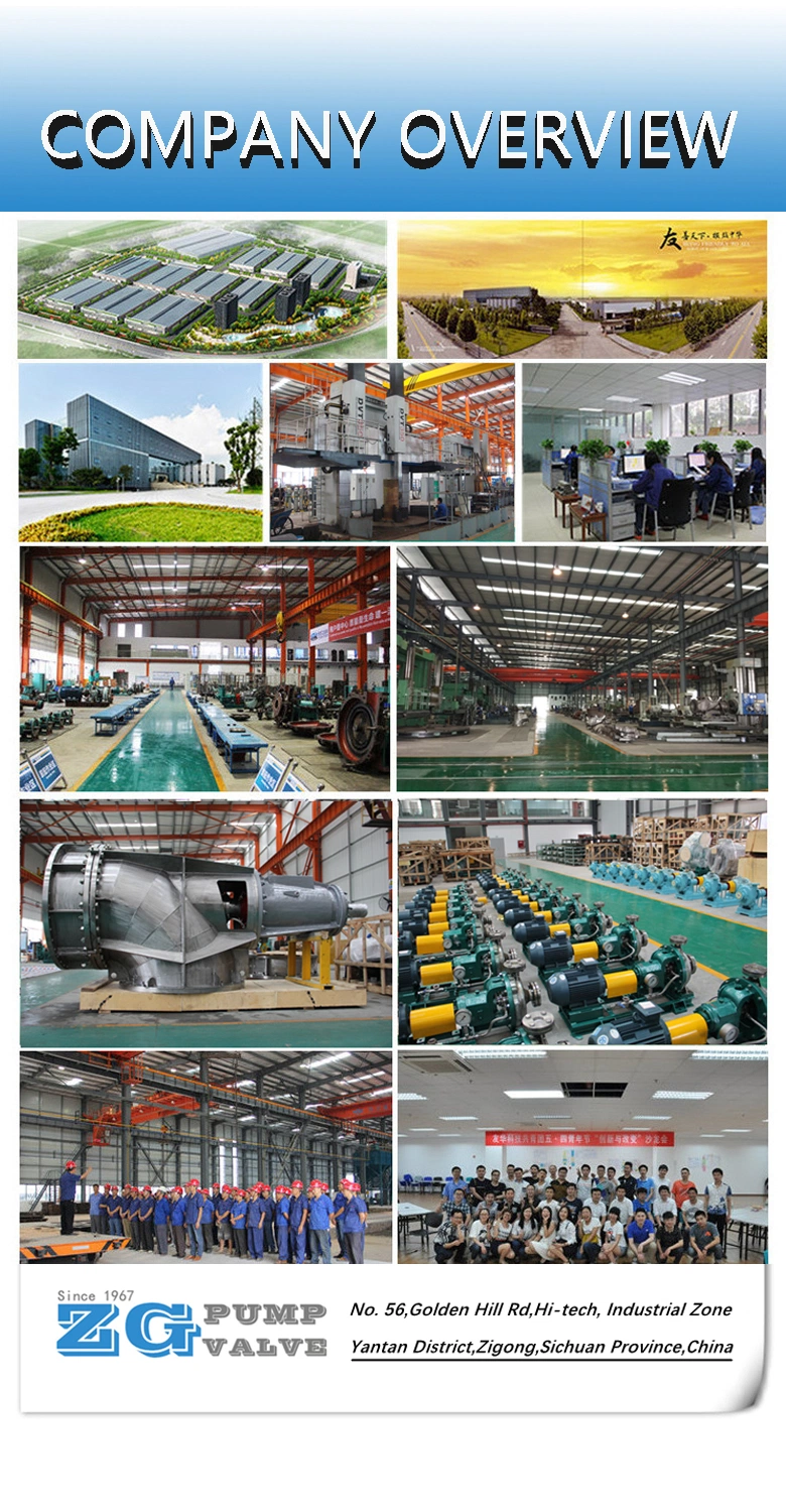 Chemical Vertical Axial/Mixed Flow Self-Priming Long Shaft Elbow Propeller Turbine Pump for Sewage Flood Control &amp; Sea Water by Duplex Stainless Steel &Titanium