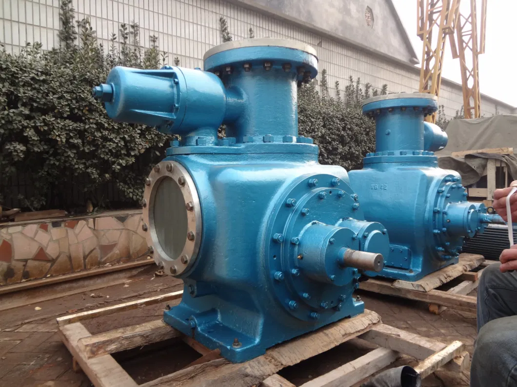 Corrosion-Resistant External Lubrication Stainless Steel Double Screw Pump