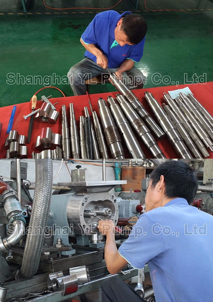 Stainless Steel Sanitary Food Chemical Grade Positive Displacement Rotary Lobe Pumps